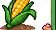 Jagung