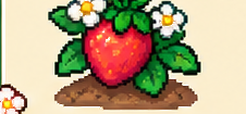 Stroberi